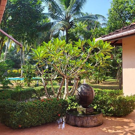 King Coconut Lodge Habaraduwa Central Eksteriør billede