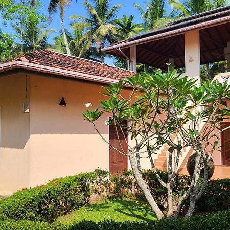 King Coconut Lodge Habaraduwa Central Eksteriør billede