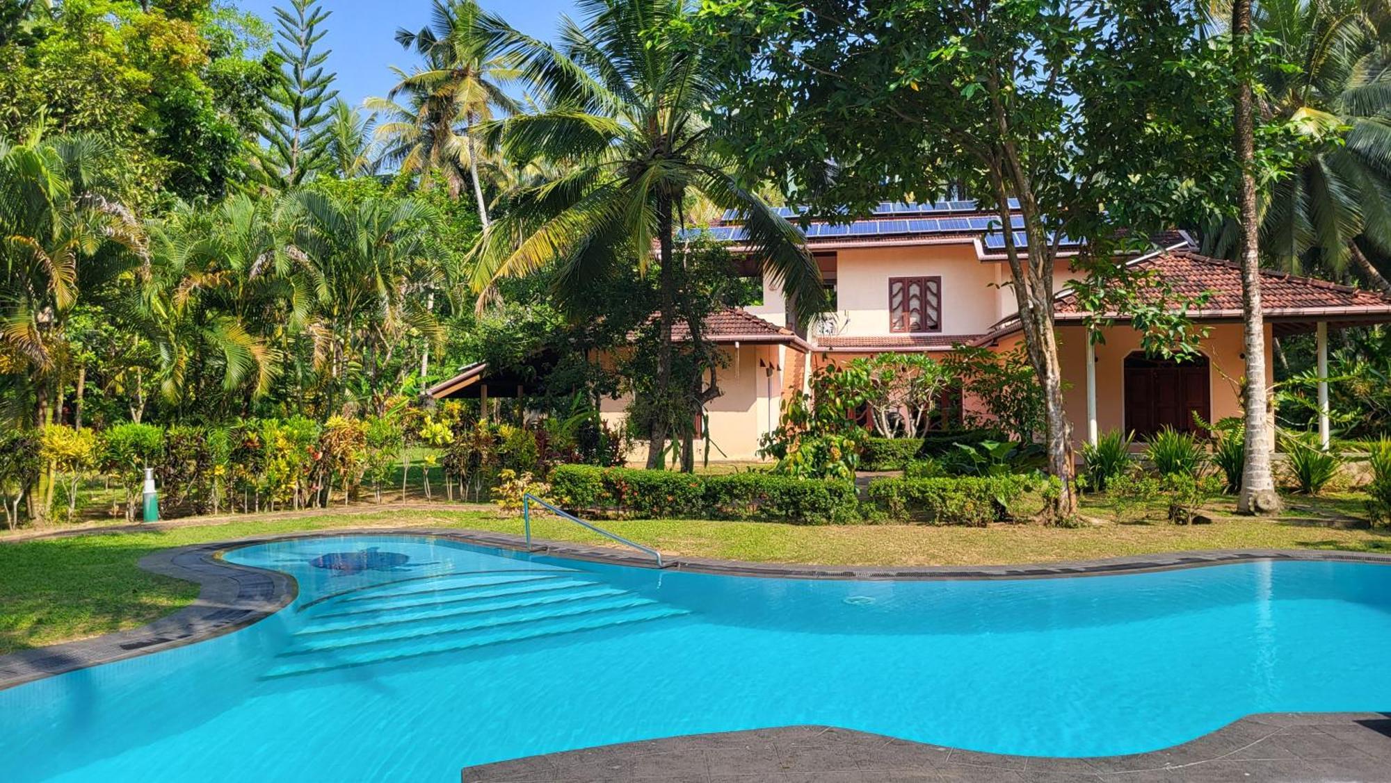 King Coconut Lodge Habaraduwa Central Eksteriør billede