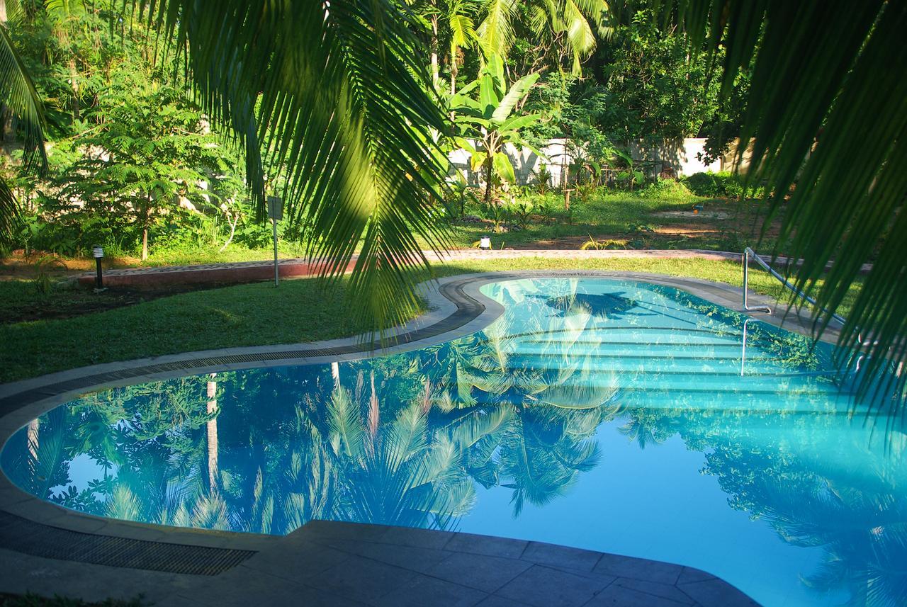 King Coconut Lodge Habaraduwa Central Eksteriør billede