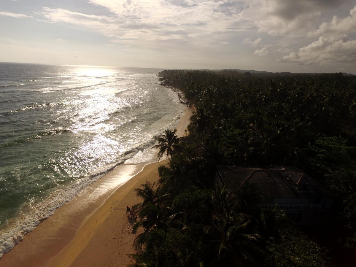 King Coconut Lodge Habaraduwa Central Eksteriør billede