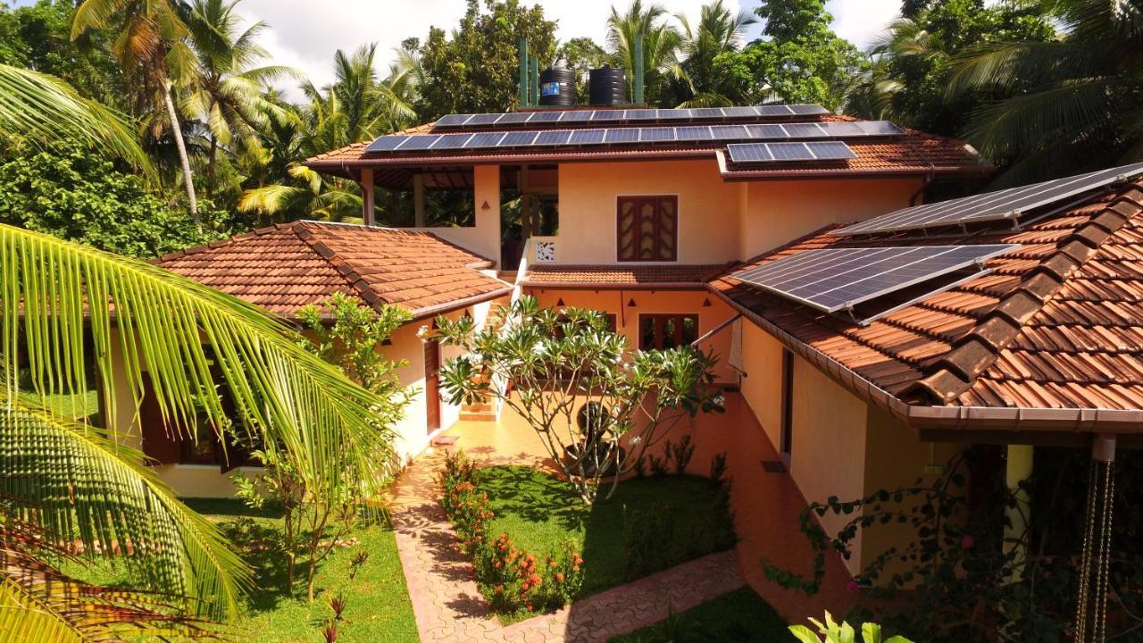 King Coconut Lodge Habaraduwa Central Eksteriør billede