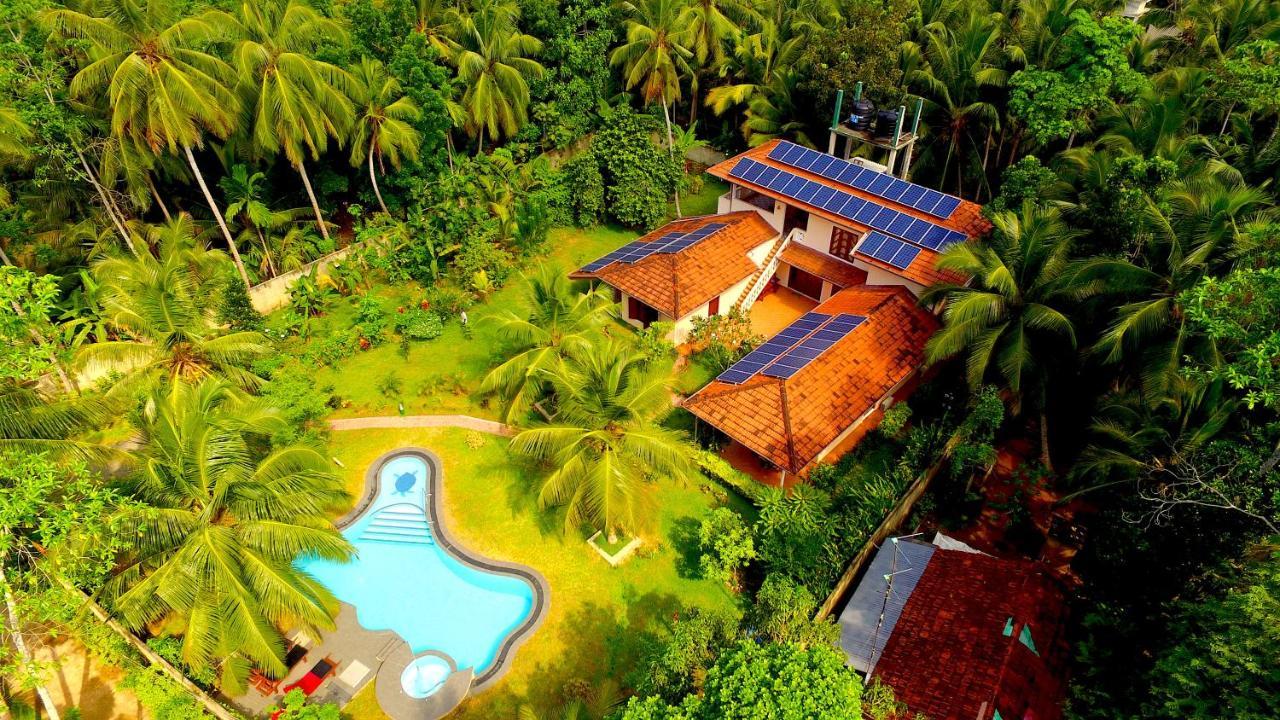 King Coconut Lodge Habaraduwa Central Eksteriør billede