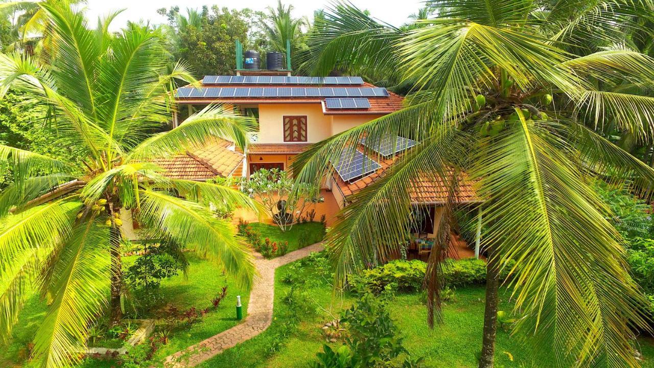 King Coconut Lodge Habaraduwa Central Eksteriør billede